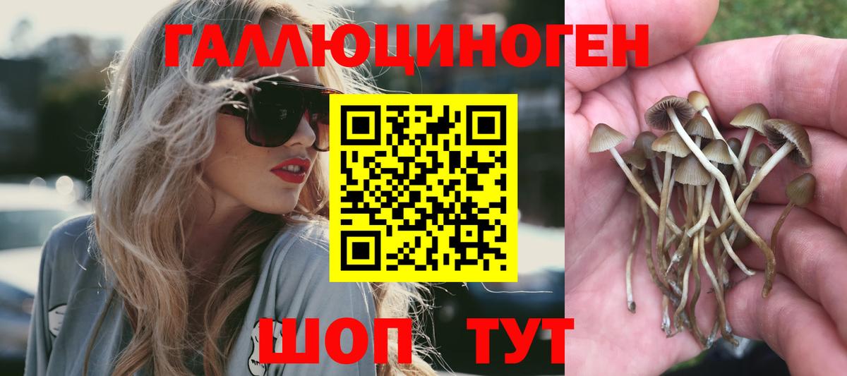 Галлюциногенные грибы прущие грибы  Вход с VPN  Евпатория 